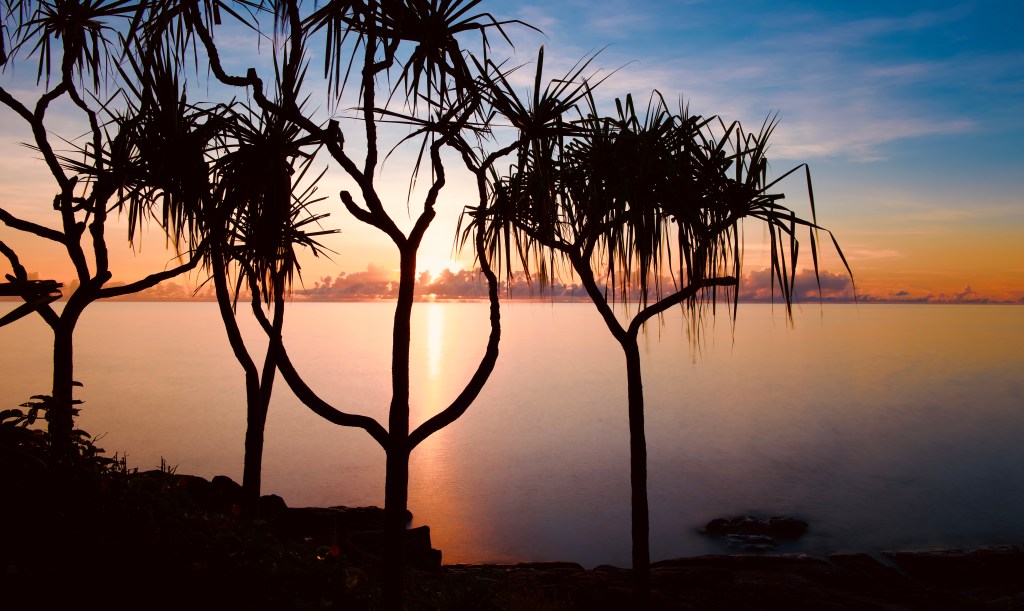 Silhouettes of palm trees against a vibrant sunset over the calm ocean.